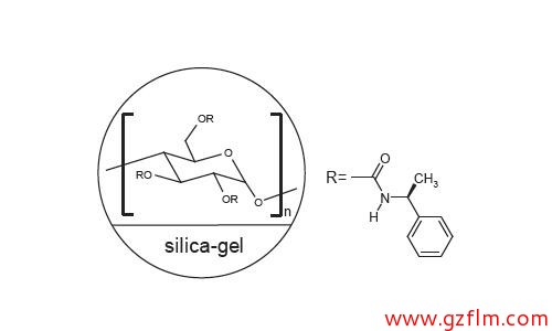 FLM Chiral NS(2)